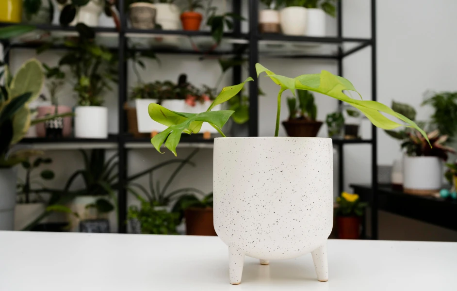 flower-pot-table